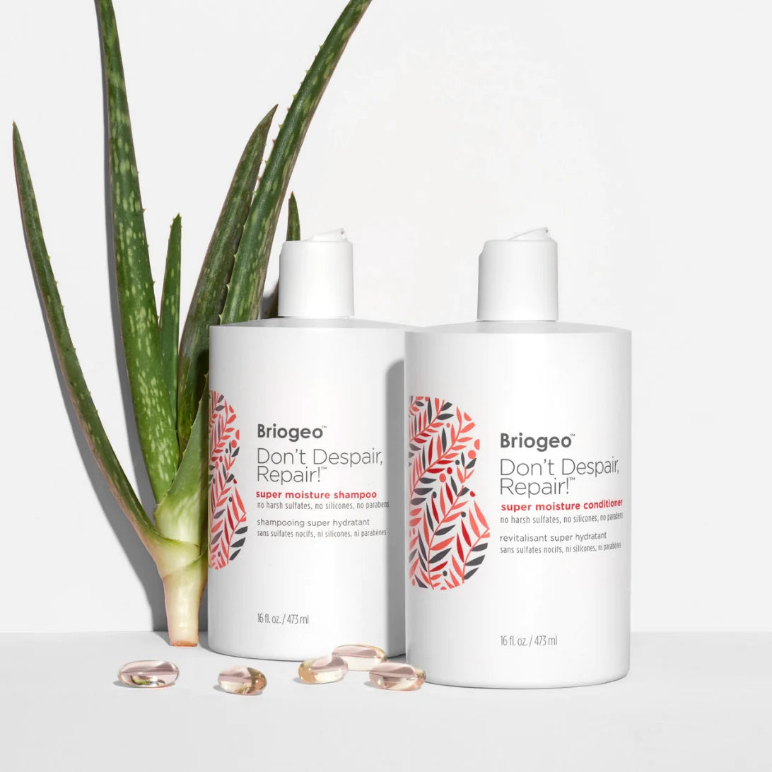 Briogeo Super Moisture Shampoo